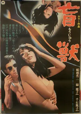 窝窝网短剧《我在县城开面馆》海报